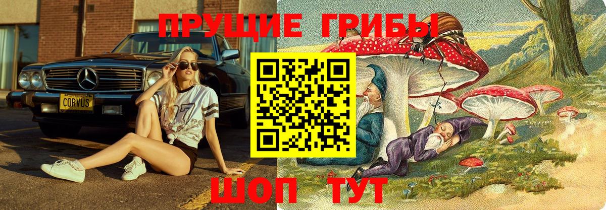 Галлюциногенные грибы мухоморы Бердск