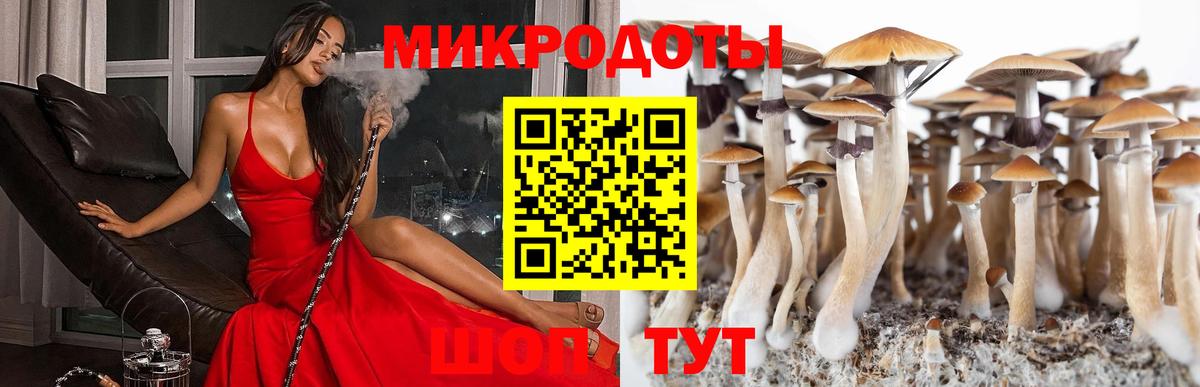 Бердск  Галлюциногенные грибы Magic Shrooms  продажа наркотиков  Галлюциногенные грибы Psilocybe  Вход с VPN 